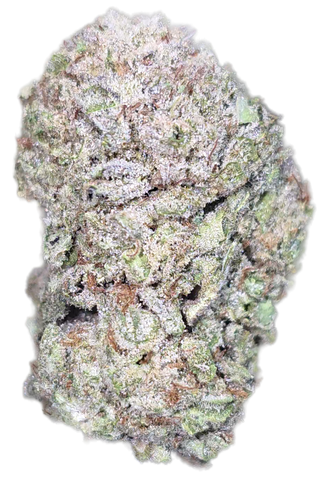 Forbidden Fruit 26.1% Thca