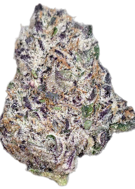Cinderella 99 36% Thca