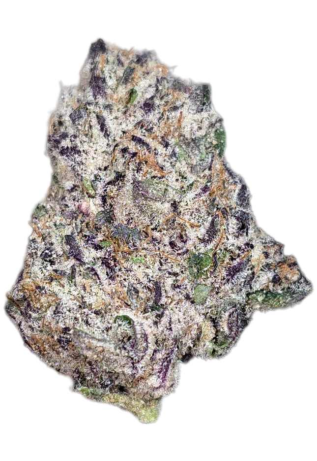 Cinderella 99 36% Thca