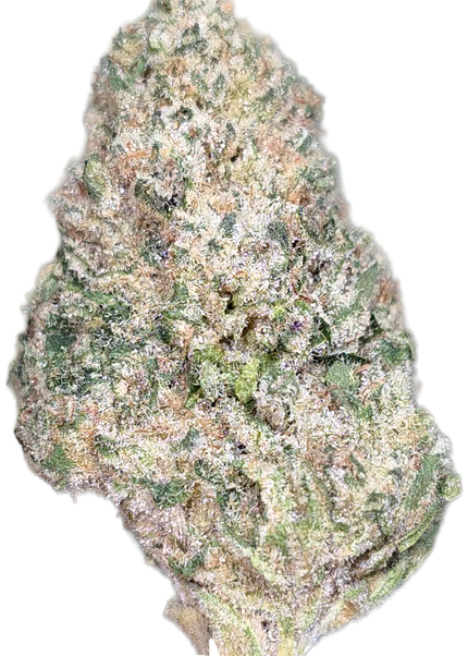 Midnight Phonk 33% THCa