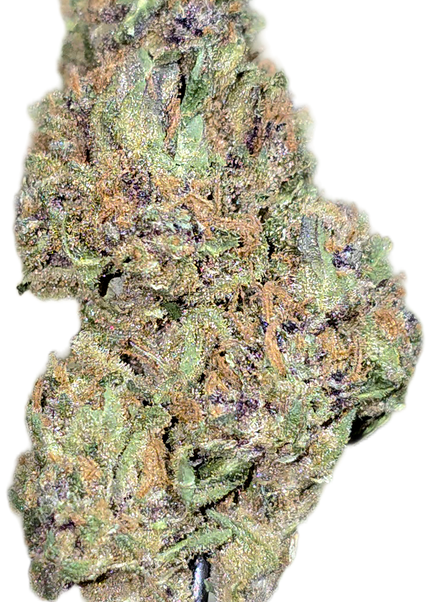 Z Runtz (Runtz OG) 32% THCa (Bulk Budget)