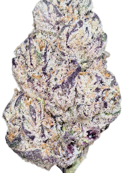Inferno Tier 1/2 14G (Vendor Choice)