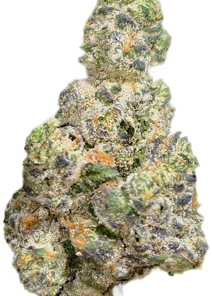 Devil Fruit 34% Mediums