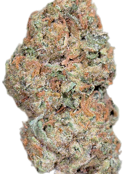 Fatso OG 33% THCA Bulk