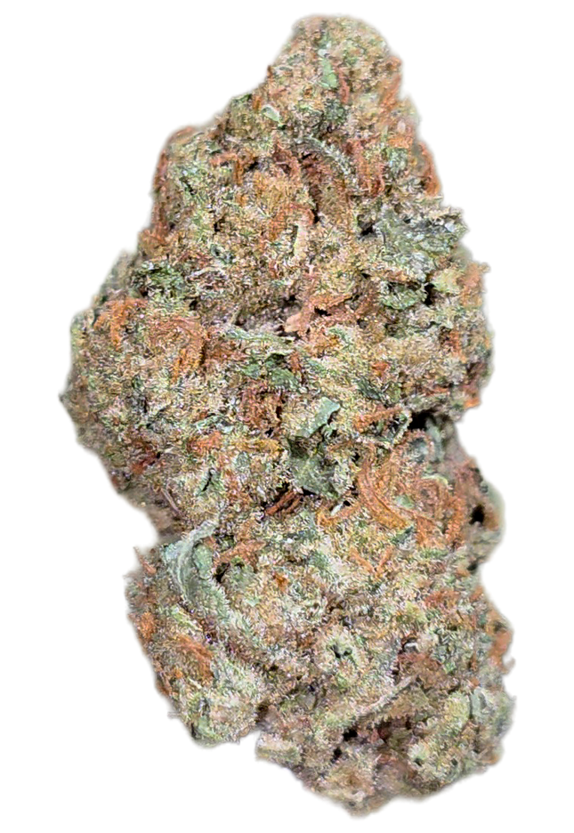 Fatso OG 33% THCA Bulk