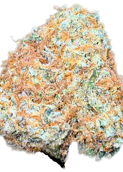 Golden Fire OG 35% Thca Bulk Medium (Different Pheno)