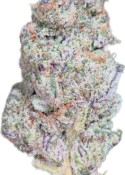 Gorilla Cookies 35% THCA Bulk