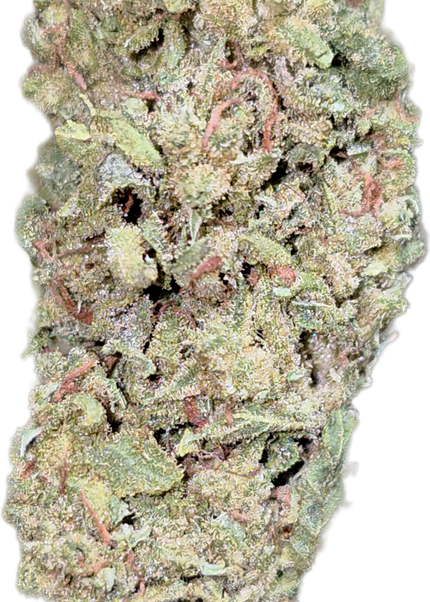 Alaskan Thunder Fuck 33% Thca Bulk