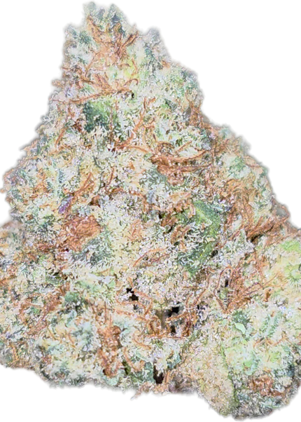 Pitbull Med 35% Thca Bulk