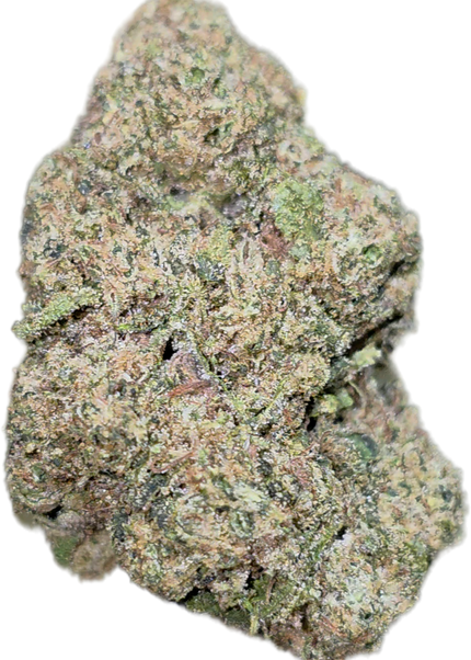 Blueberry Muffin 35% THCA