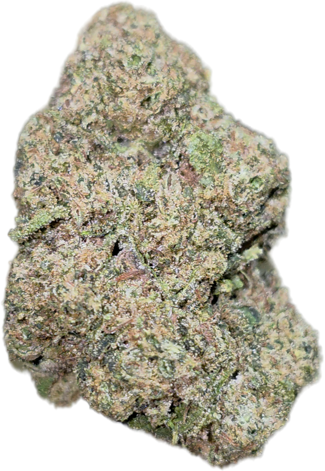 Blueberry Muffin 35% THCA Bulk
