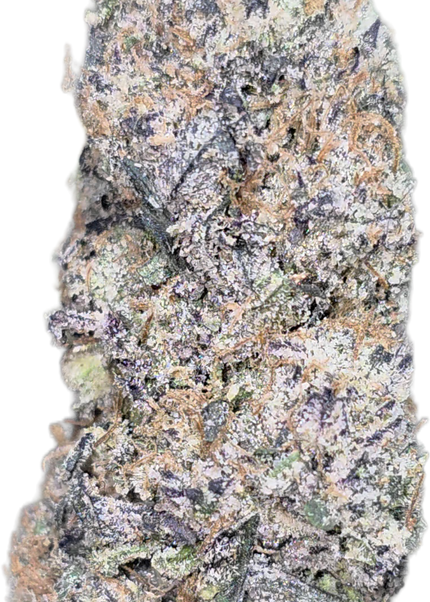 Ice Cream Cake 36% Thca