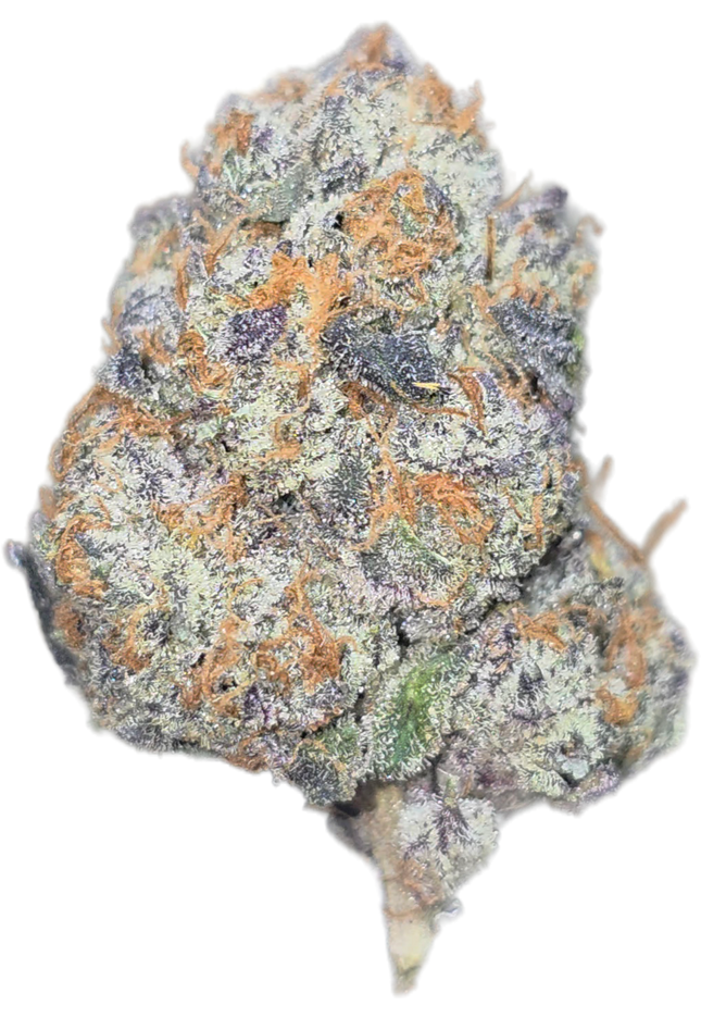 Texada Time Warp 35% Thca (RARE STRAIN)