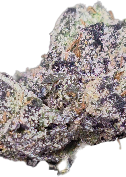 Purple Punch 35% Small THCa