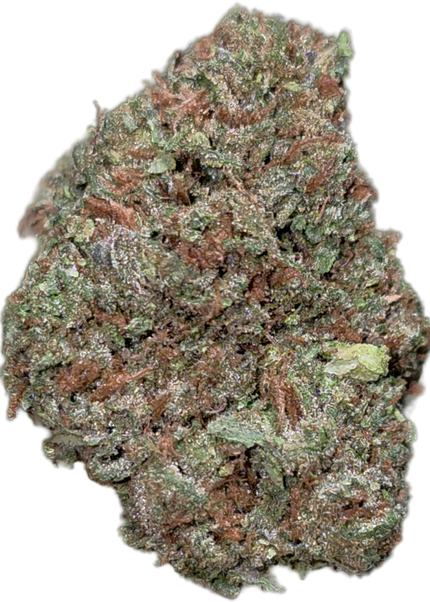 Blueberry Muffin 35% THCA Bulk