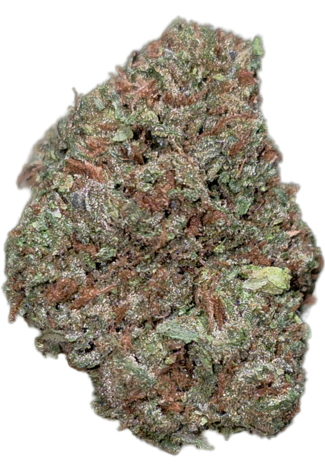 Blueberry Muffin 35% THCA Bulk