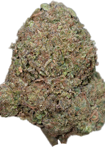 Bacio Gelato 33% Thca Bulk Budget