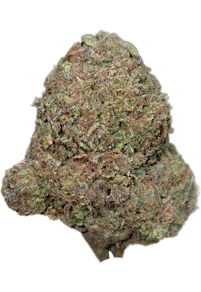 Bacio Gelato 33% Thca Bulk Budget