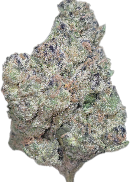 Purple Trainwreck 36% THCA Bulk (New Grow)