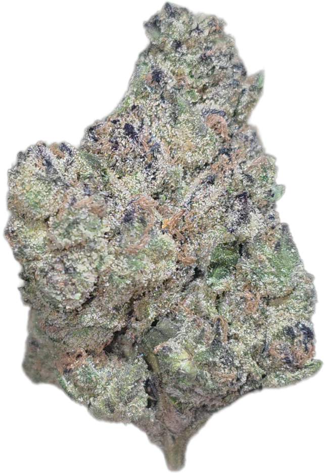 Purple Trainwreck 36% THCA Bulk (New Grow)