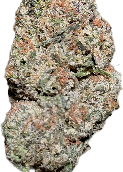 Governmint Oasis 33% THCa Bulk