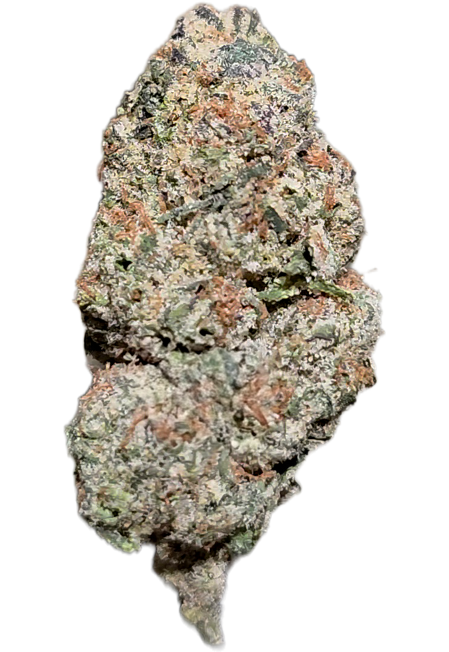 Governmint Oasis 33% THCa Bulk