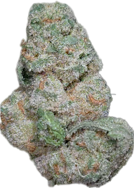 Dr Grinspoon Small 34% Thca Bulk