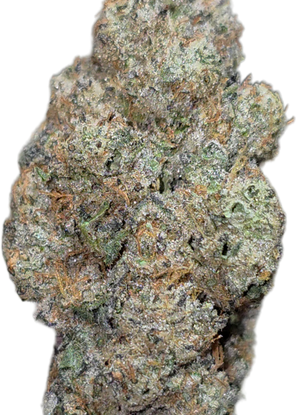Cactus Breath 36% Thca