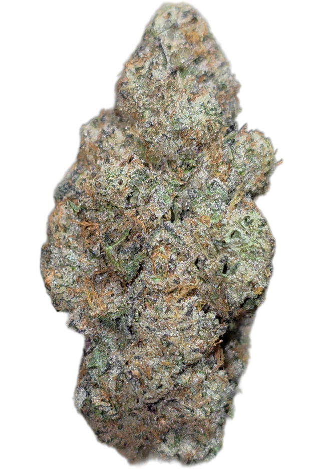 Sour Tangie 35% Thca (RARE) Bulk (New Grow)