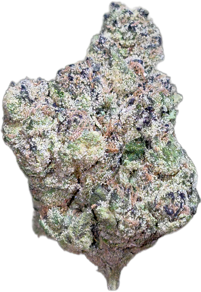 Blueberry Muffin 35% THCA Bulk