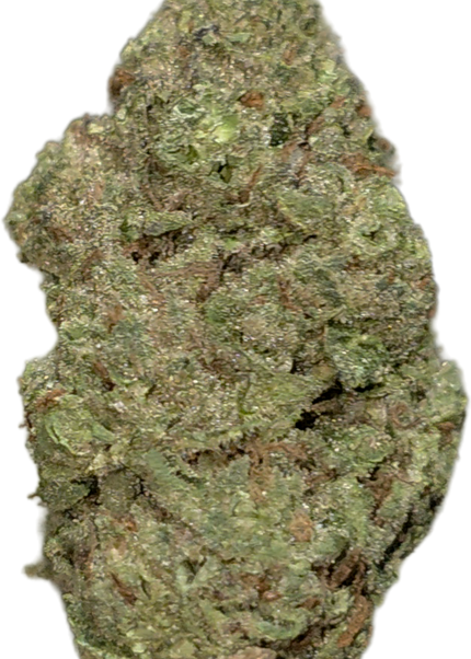 Dr Grinspoon 31% Thca Bulk
