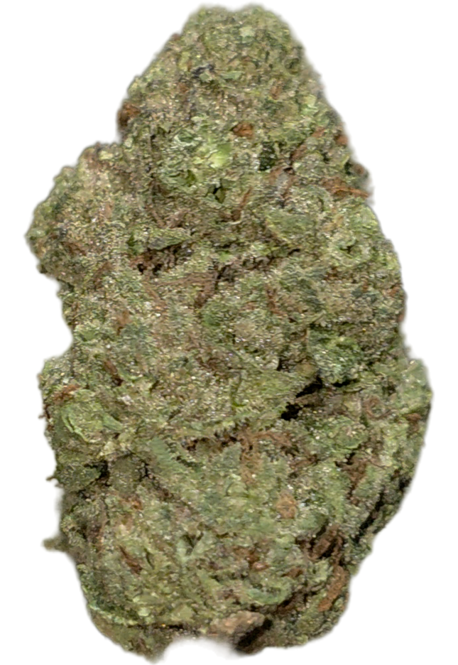 Dr Grinspoon 31% Thca Bulk