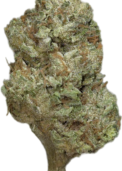 Blue Moonshine 31% THCa Bulk