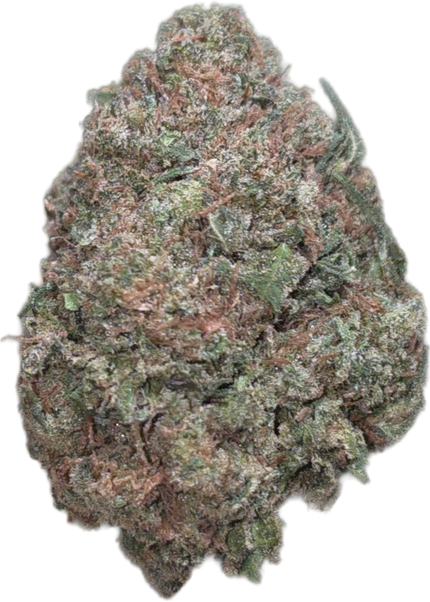 Gary Payton 34% Thca