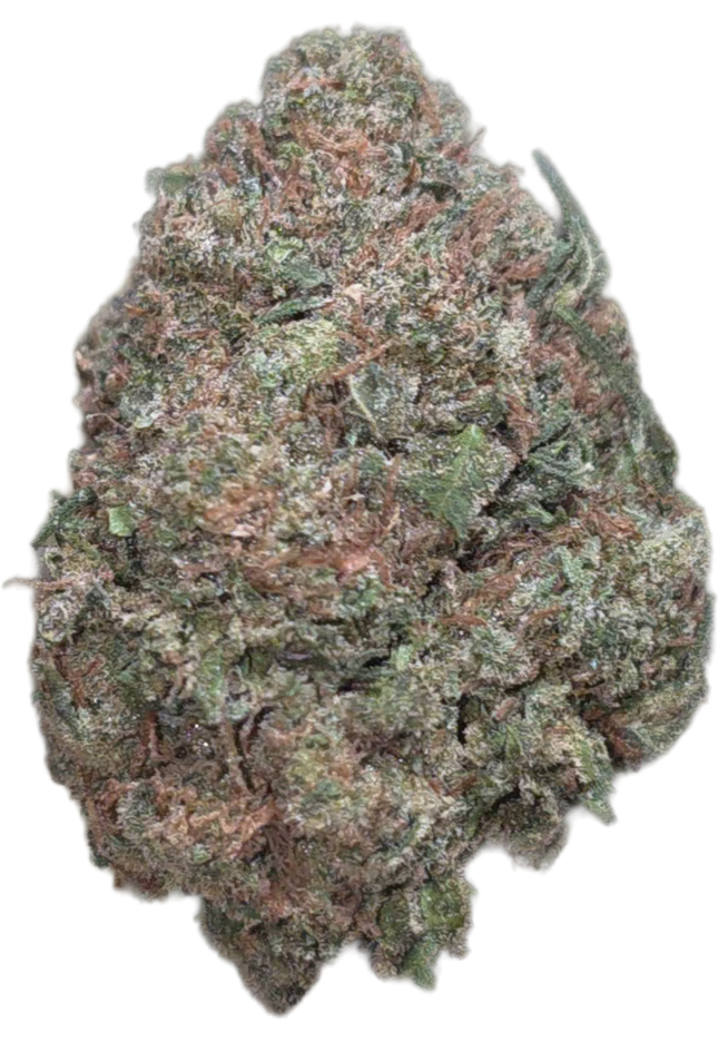 Gary Payton 34% Thca