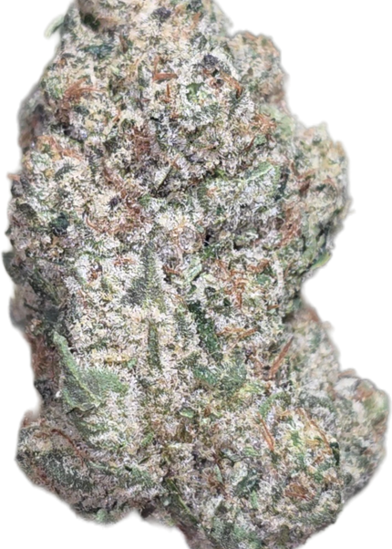 Head Band 34% Thca Bulk