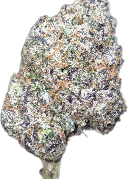 Gushers 35%  Thca