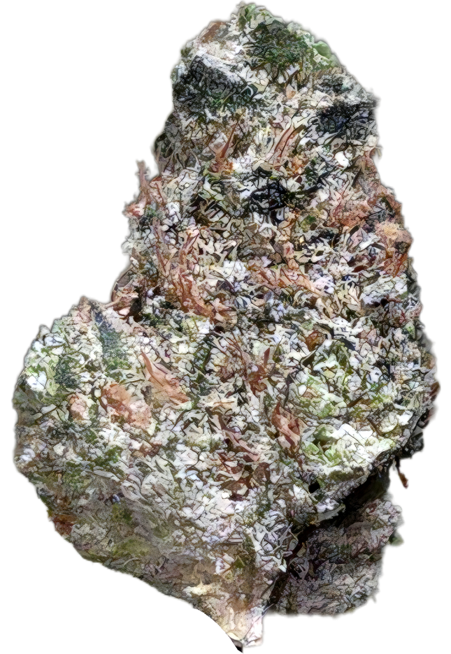 Facewreck 31% Thca Smalls