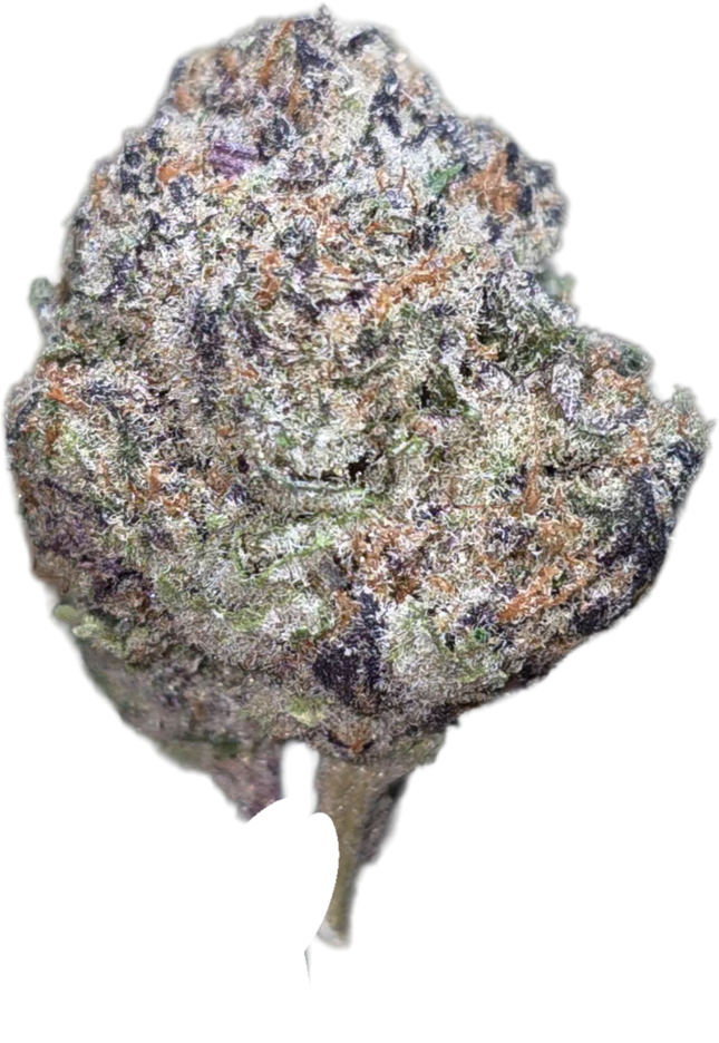 Bodhi Satsuma 33% Thca (RARE STRAIN)