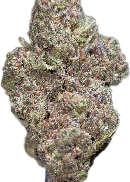 Fatso OG 33% THCA Bulk