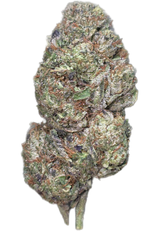 Strawberry Cough 31% THCa BULK