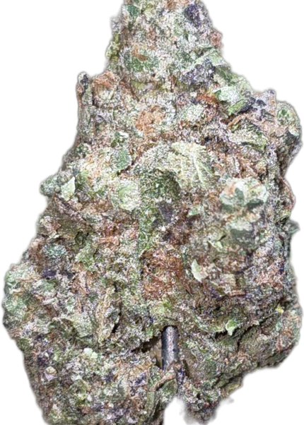Gelatti Kush Mintz 31% Thca Bulk