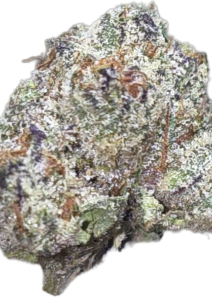Sugar Cane 36% Small (Different grow)