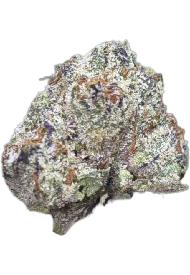 Sugar Cane 36% Small (Different grow) Bulk