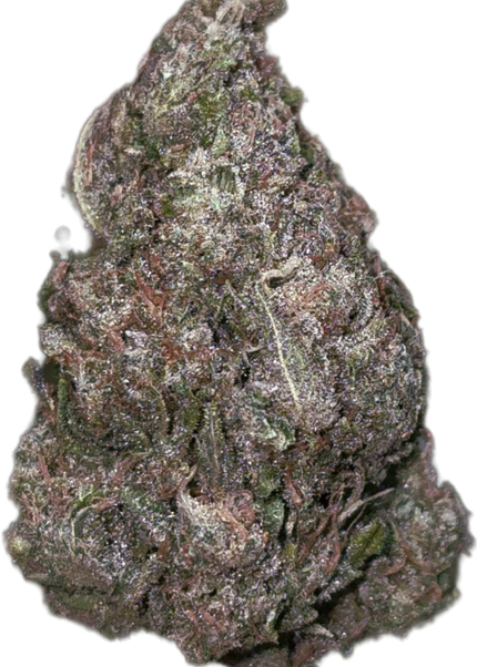 Archive Runtz 28% Thca Bulk