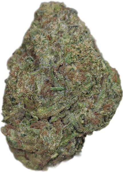 Bruce Banner 34 Thca
