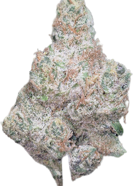 White Durban 34%  Thca