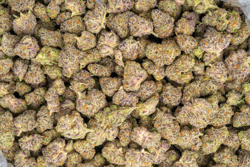 White Truffle 31% THCa Mediums