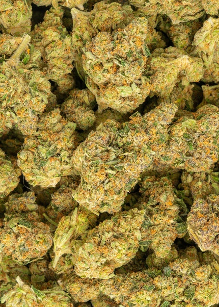 bulk distro exotic discount thca hemp exotic flower buy lbs online fast shipping cheap wholesale online discount price 