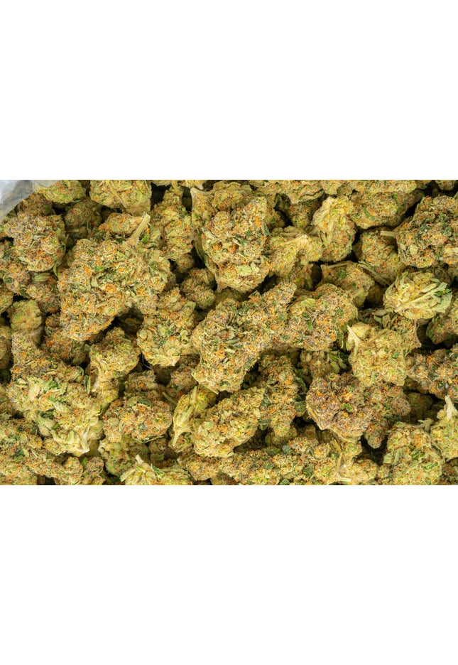 bulk distro exotic discount thca hemp exotic flower buy lbs online fast shipping cheap wholesale online discount price 